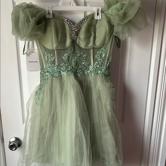 Dresses & Skirts - Sage Green Tulle Party Dress with Puff Sleeves